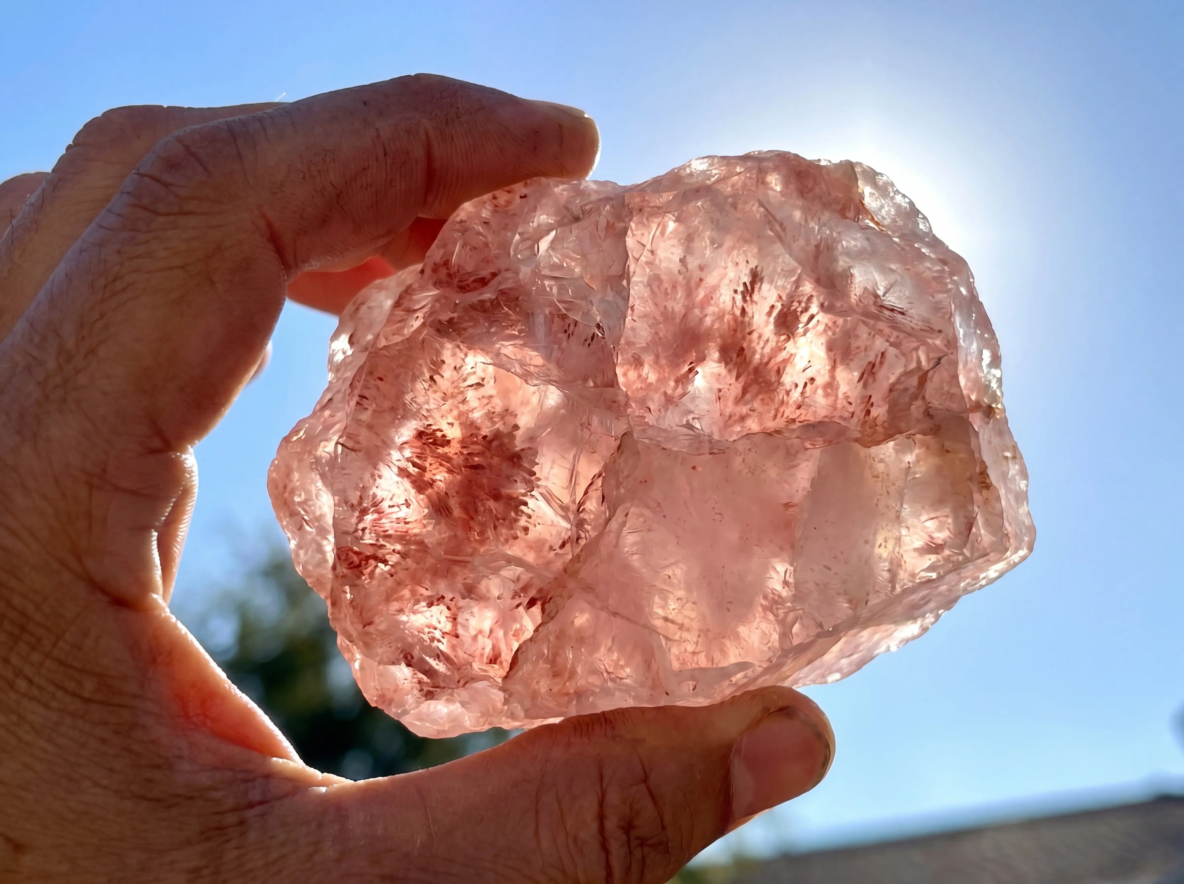 Aurora Bloom Strawberry premium rough strawberry quartz mineral crystal energized under natural sun rays.