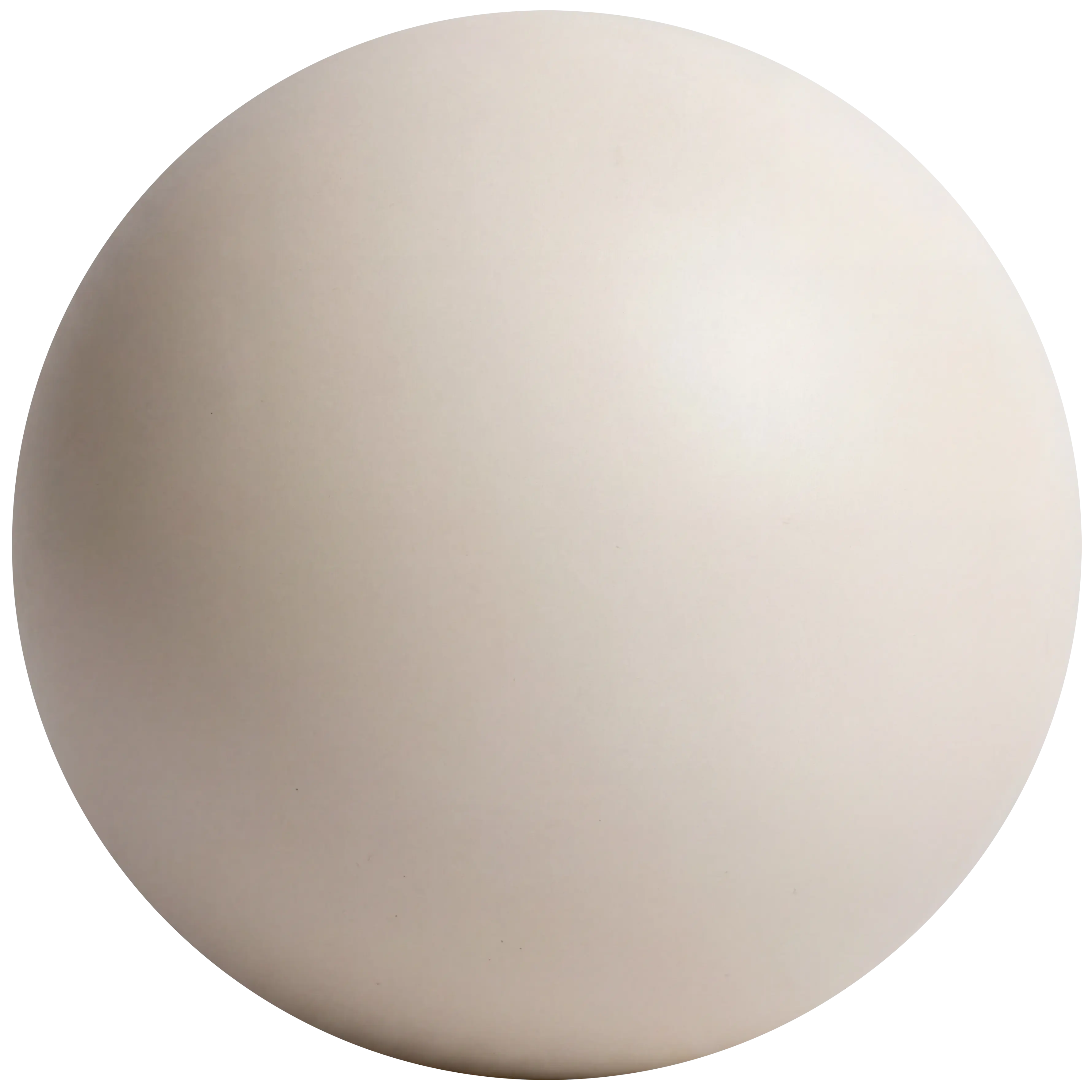 white bodhi